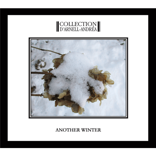 CD Collection DArnell-AndrÃ©a "Another Winter"