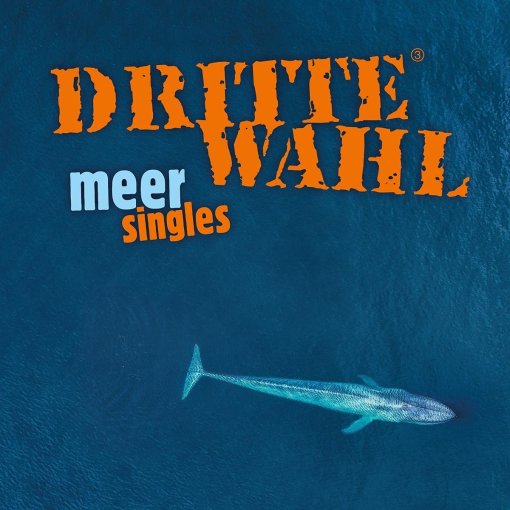 12" Vinyl Dritte Wahl "Meer Singles"