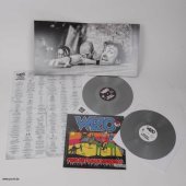 ltd. silberne 2x12" Vinyl WIZO "Punk gibts...