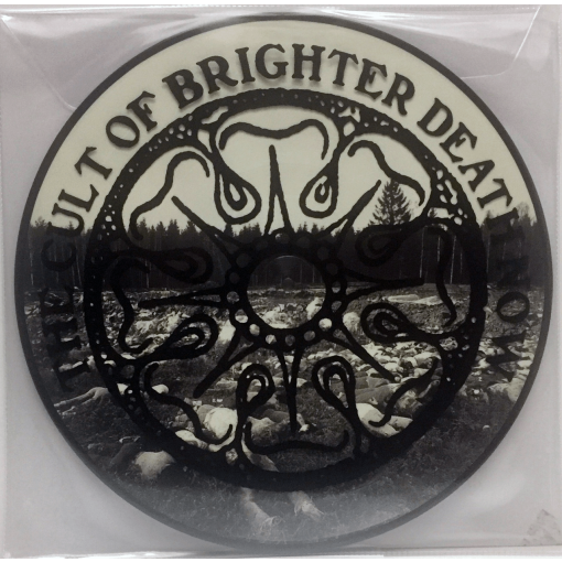 ltd. picture 12" Vinyl Brighter Death Now "All Too Bad - Bad To All"