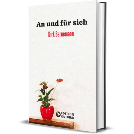 Buch Dirk Bernemann "An und für sich"