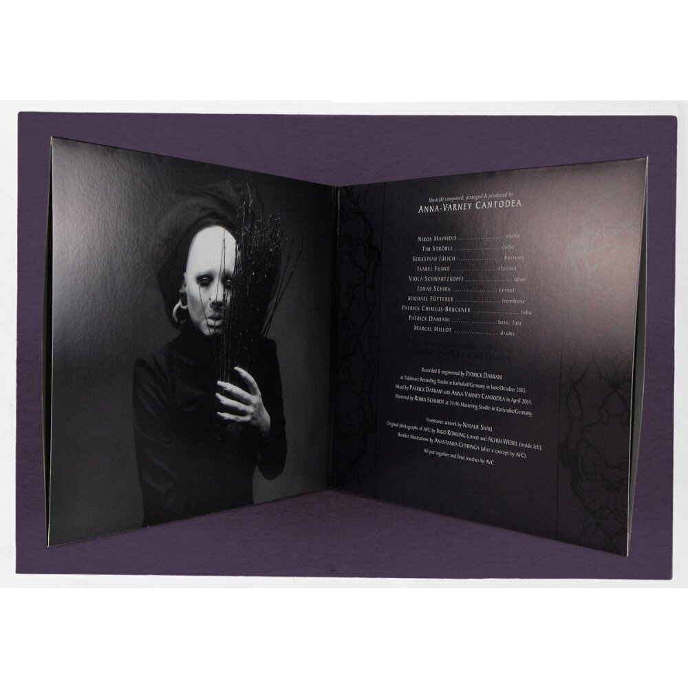 ltd. Multisegmental split 2x12