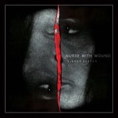 ltd. 2x12" picture Vinyl Nurse With Wound...