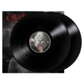lim. farbiges 2x12" Vinyl Eisregen "Abart"