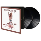 lim. farbiges 2x12" Vinyl Eisregen...