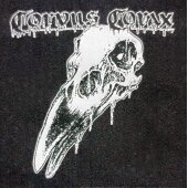 Aufnäher Corvus Corax "Rabenschädel"